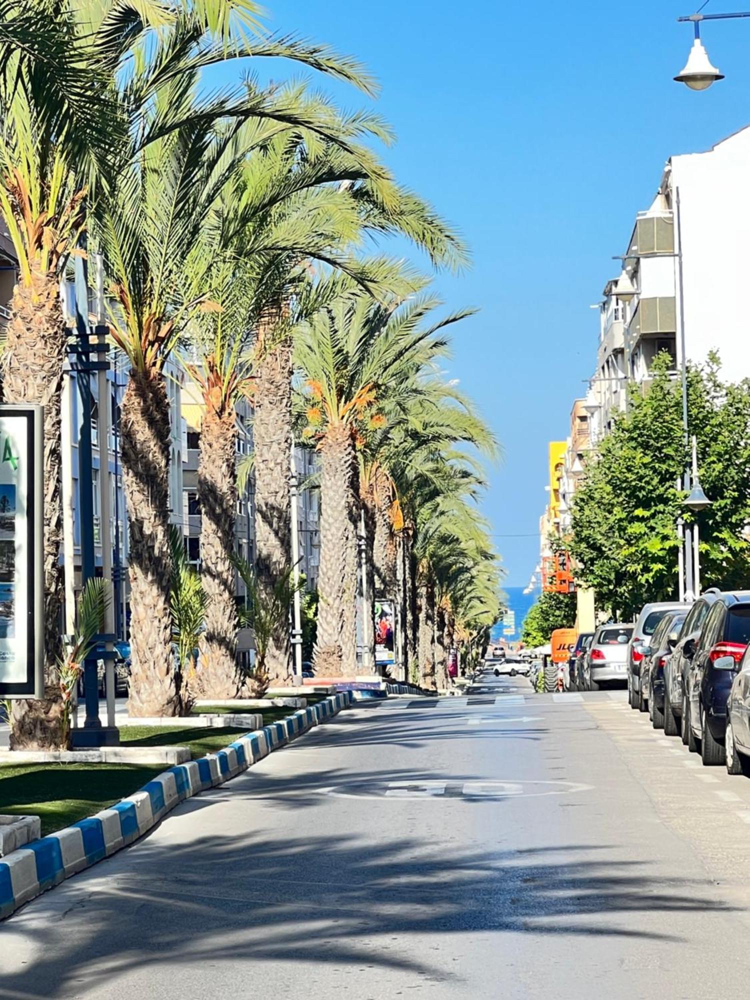 Renovated Cosy Studio 350 M Playa Del Cura, With Official Touristic License Торевьиа Экстерьер фото